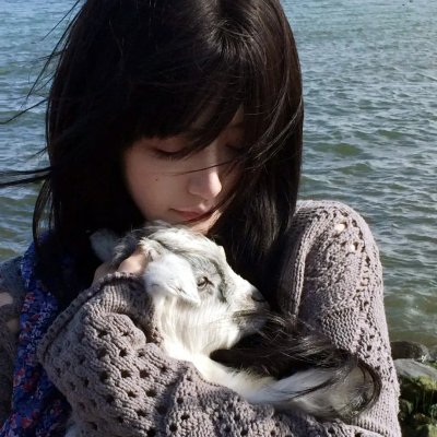 红场飞龙
