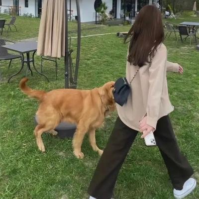 孤独的父亲